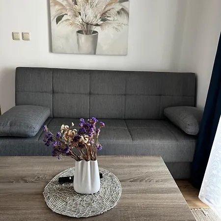 公寓 Micic 扎达尔